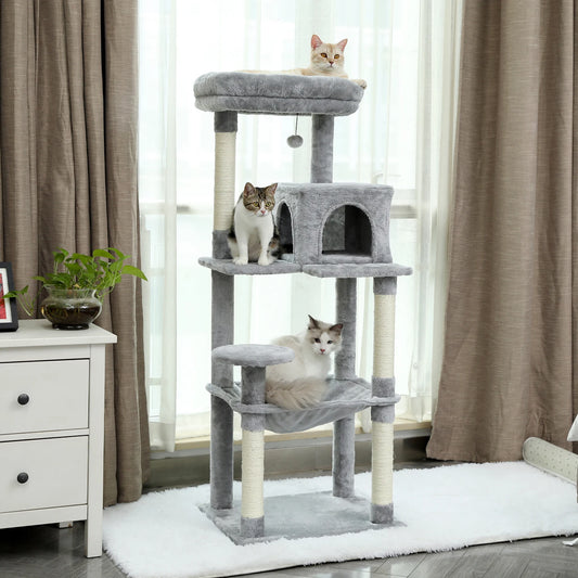 Furniture for large cat