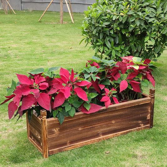Raised Garden Bed Flower