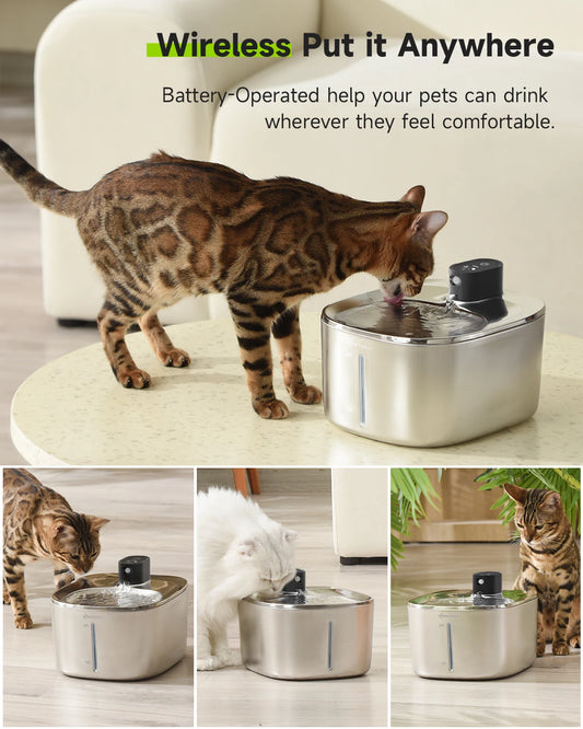 Wireless Cat Water Fountaint