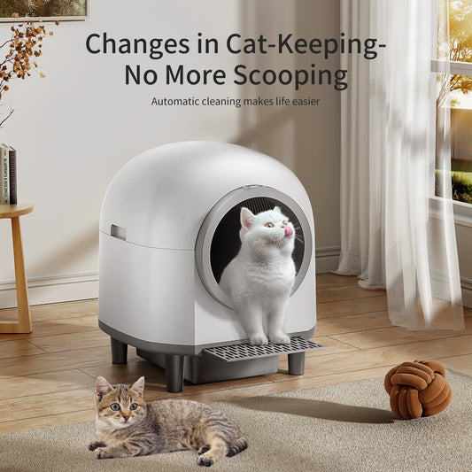 pet  Box Self Cleaning Sandbox
